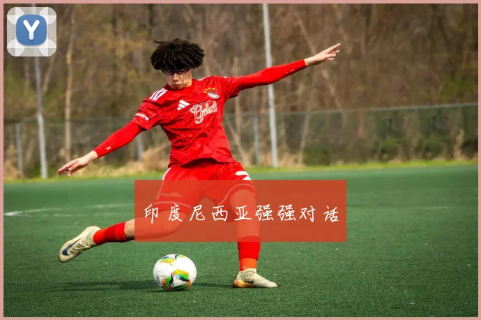 印度尼西亚强强对话