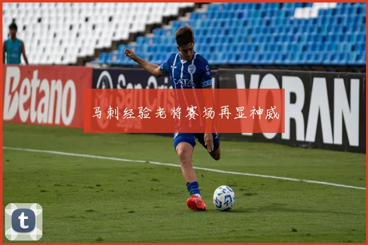 马刺经验老将赛场再显神威