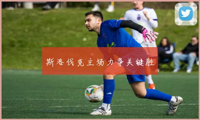斯洛伐克主场力争关键胜