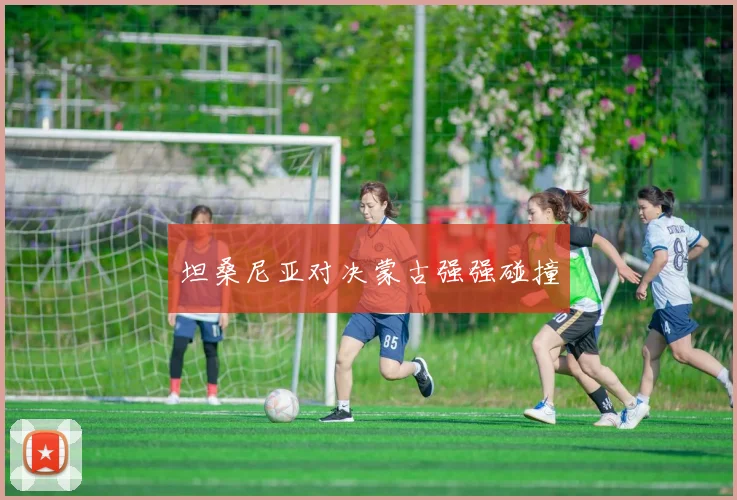 坦桑尼亚对决蒙古强强碰撞