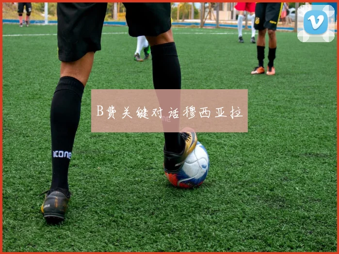 B费关键对话穆西亚拉