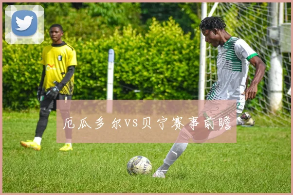 厄瓜多尔vs贝宁赛事前瞻