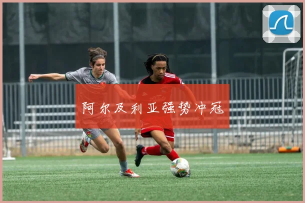 阿尔及利亚强势冲冠