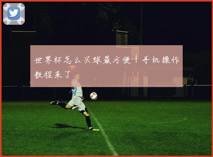 世界杯怎么买球最方便｜手机操作教程来了