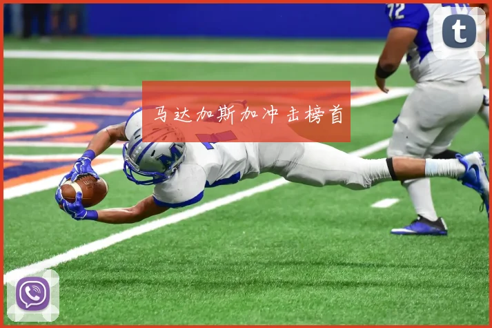 马达加斯加冲击榜首