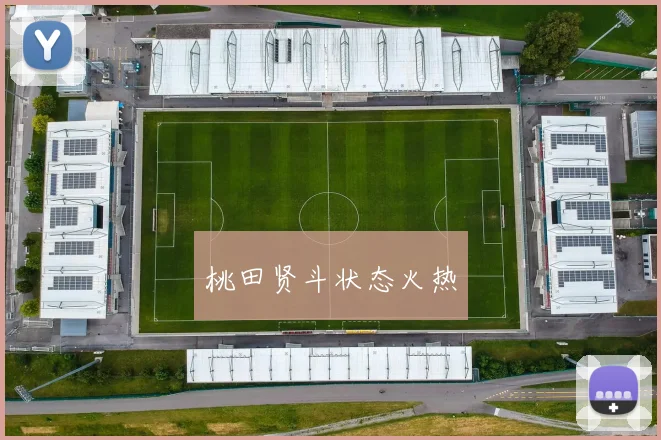 桃田贤斗状态火热