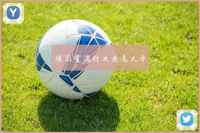 埃因霍温对决老虎大学