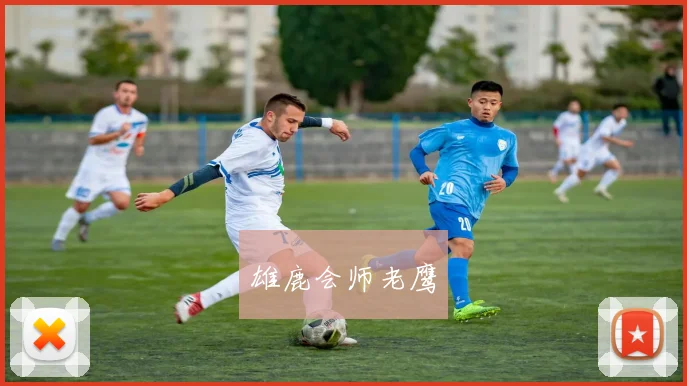 雄鹿会师老鹰