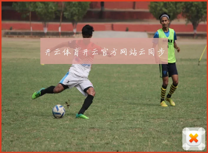 开云体育开云官方网站云同步