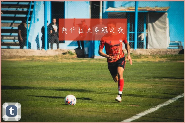 阿什拉夫争冠之夜