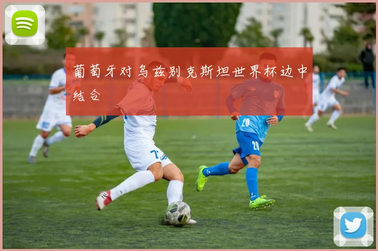 葡萄牙对乌兹别克斯坦世界杯边中结合