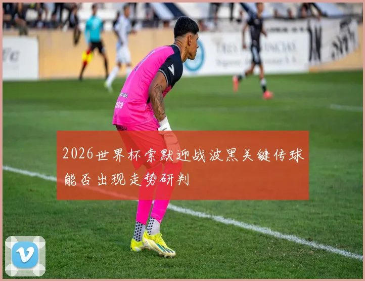 2026世界杯索默迎战波黑关键传球能否出现走势研判
