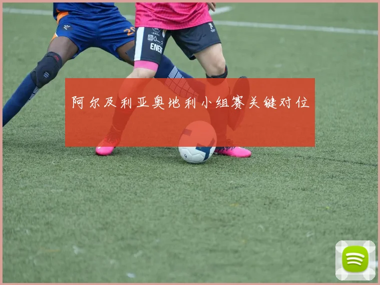 阿尔及利亚奥地利小组赛关键对位